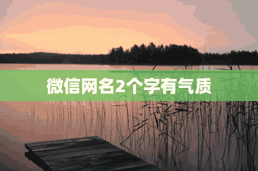 微信网名2个字有气质(微信网名2个字有气质男生)